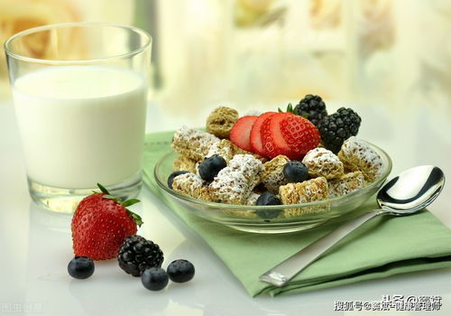 健康管理的核心 超越保健品，聚焦科學餐飲管理