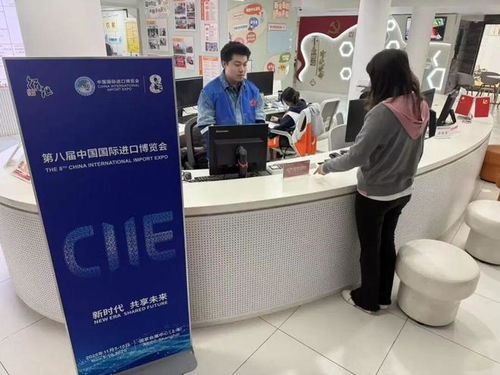 志愿暖流匯聚徐匯，全力護航進博盛會——信息咨詢服務(wù)助力進博會